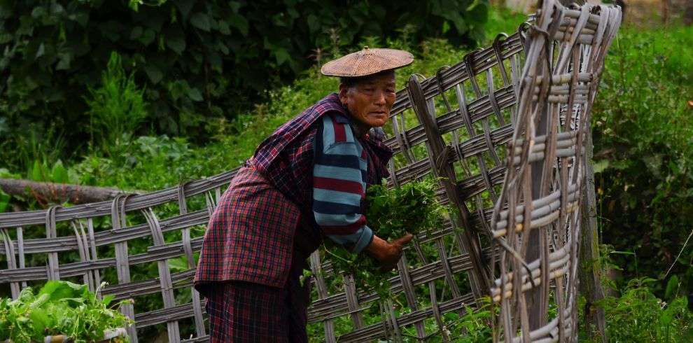 Green Destination-CARBON NEGATIVE COUNTRY in Bhutan