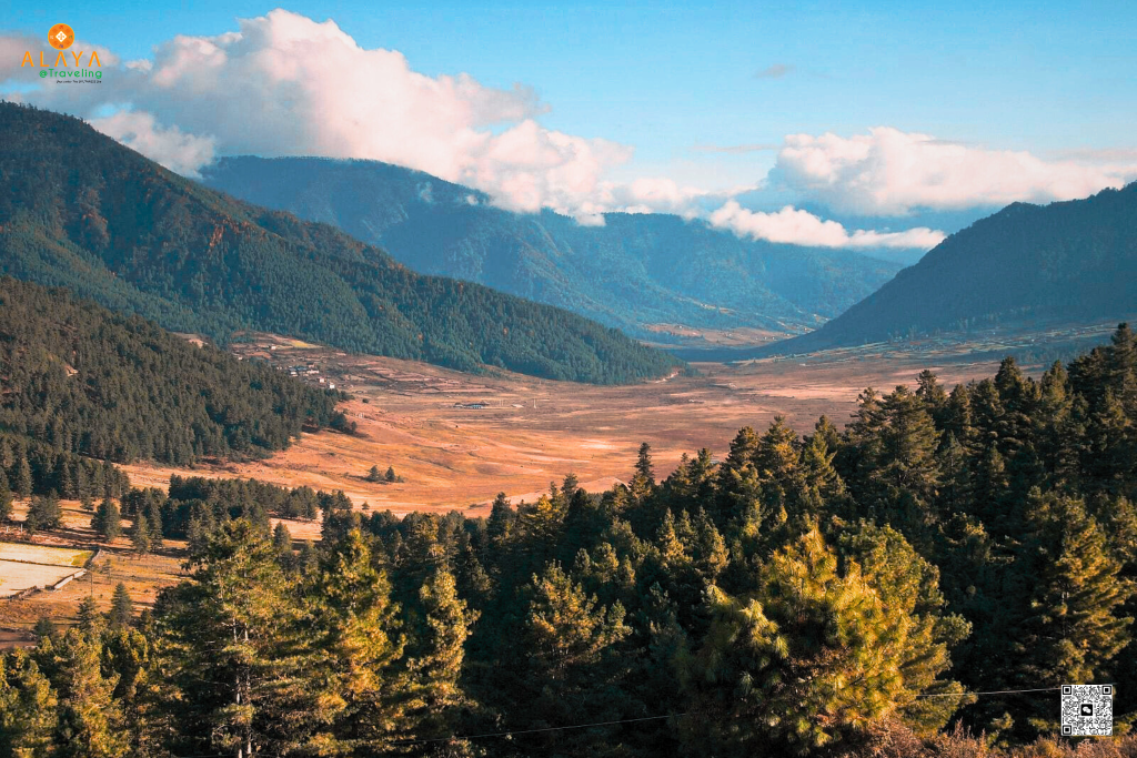 Top Attractions in Wangdue Phodrang Bhutan – Phobjikha Valley