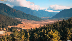 Top Attractions in Wangdue Phodrang Bhutan – Phobjikha Valley