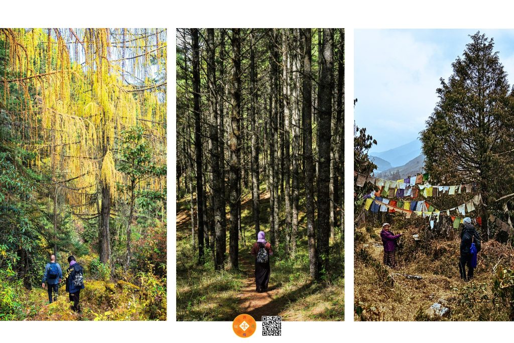 A L Λ Y Λ @Traveling | top attractions wangdue Longtey day Hike 2 | Discover Bhutan. Rediscover Yourself. Top Attractions in Phobjikha Valley Bhutan – Longtey Day Hike