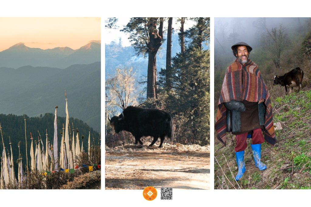 A L Λ Y Λ @Traveling | top attractions wangdue Palela Mountain Pass2 | Discover Bhutan. Rediscover Yourself. Top Attractions in Wangdue Phodrang Bhutan – Pele La Mountain Pass