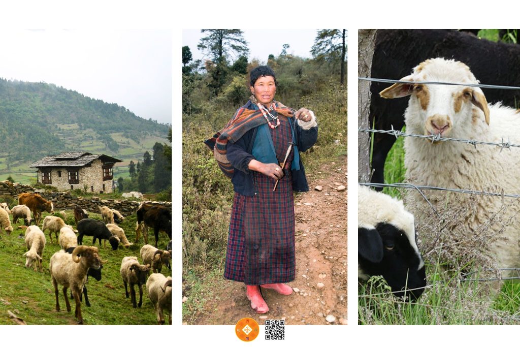 A L Λ Y Λ @Traveling | top attractions wangdue phobjikha Wangmo Handwoven Carpet Factory 2 | Discover Bhutan. Rediscover Yourself. Top Attractions in Phobjikha Valley Bhutan – Wangmo Hand-Woven Carpet Factory