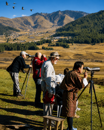 Birding